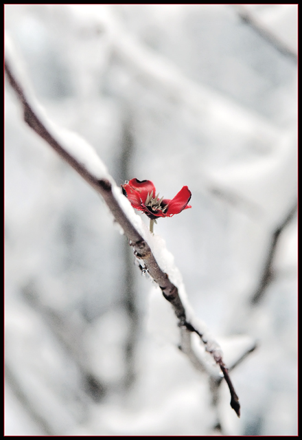 Waiting On Spring