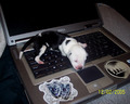 stayed up to late on the computer!! "Time to sleep"