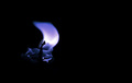 Incandescence