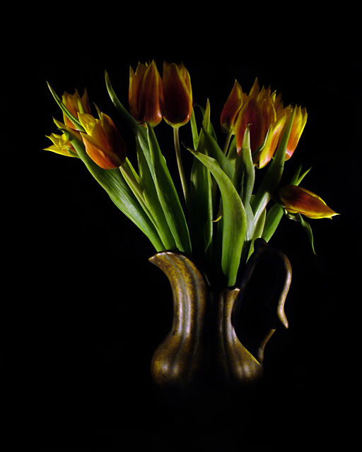 Tulips in a Pitcher