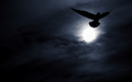 Moonlight Serenade