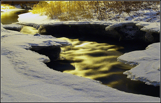 Credit River (under street light)