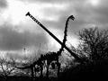 Echos of the Past and Future