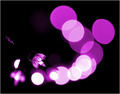 Purple Circle