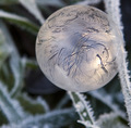 Frozen Bubble