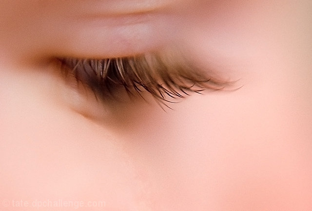 Ada's Lashes