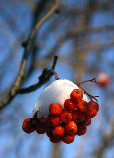 Mother Nature's Cool Whip