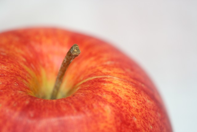 Apple Stem