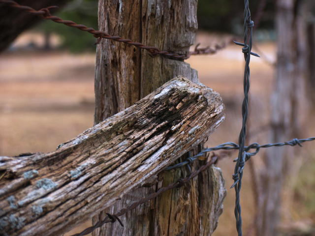 Fencepost