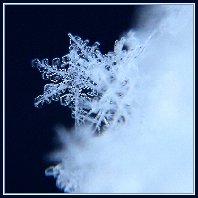 The Marvel of a Snowflake