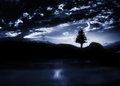 Tranquil