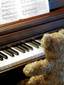 Bear Music