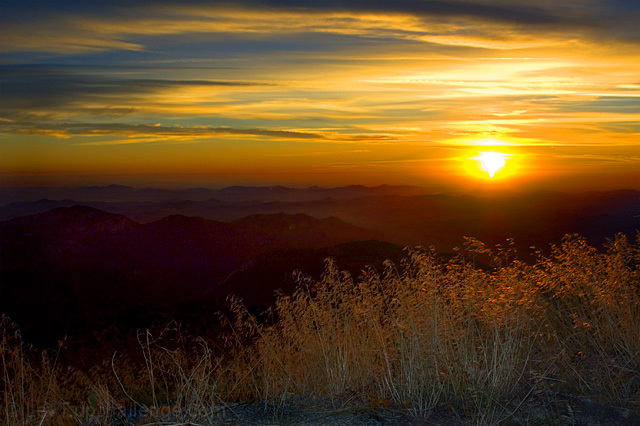 stare_at_the_sun