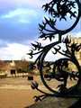 Conflicting Patterns :  Nature and Culture
