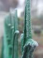 posts