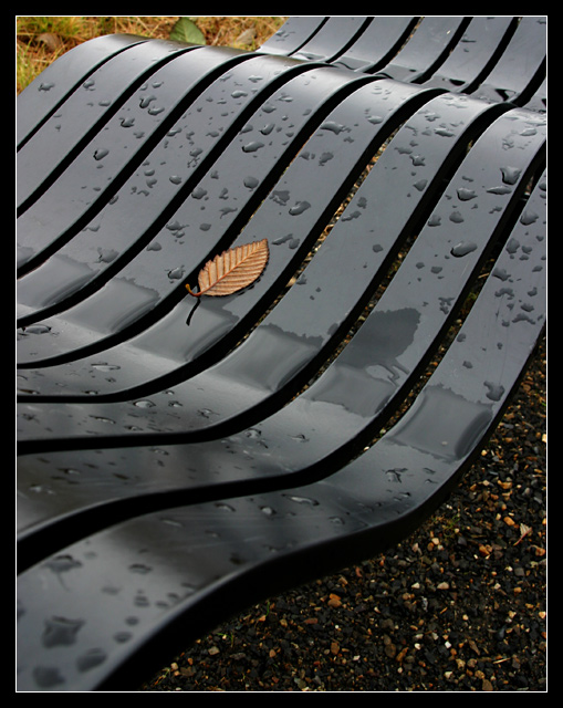 Curves and Leaf