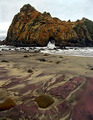 . . beauty of MOTHER EARTH. . . . . . . . . . . . . .(pink sands of Pheiffer Beach)
