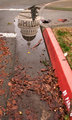 Government in the Gutter