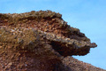 Martian surface...giant lizard skull?