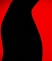 Silhouette de Penguin