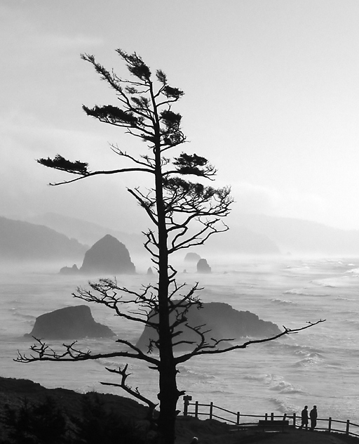 La Mer