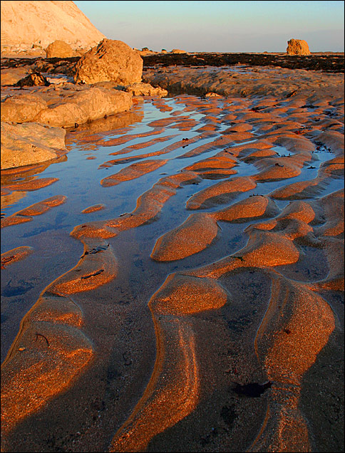 Shore shapes