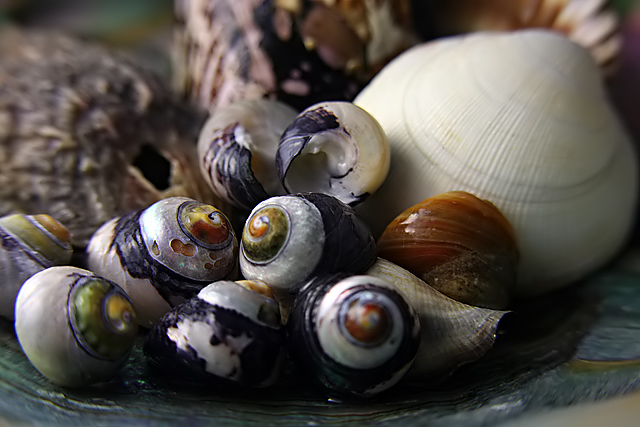 underwater treasures