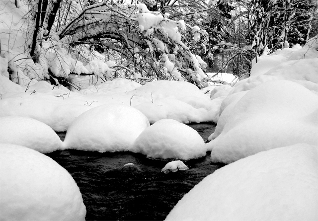 Snow Bumps