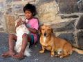 Street Child and his Dogs