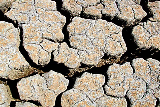 Colorado Drought 2002