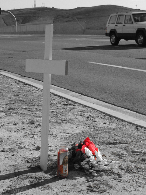 Roadside Remembrance