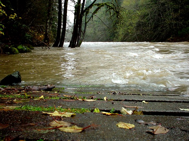 Rising Waters