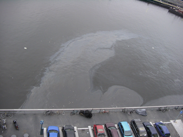 Pollution of our Harbor
