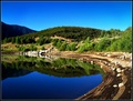 Natural Reflections