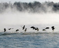 Cold morning takeoff