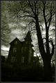 The Mansion