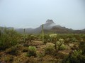 Tucson Rain in the Desert