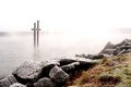 Frosty Foggy Morning