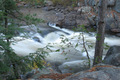 Rapids in the Woods