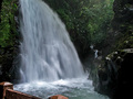 Enchanted Waterfall