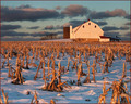 FarmScape - Just Before Sunset