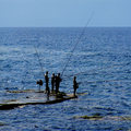 Fishing The Mediterranean