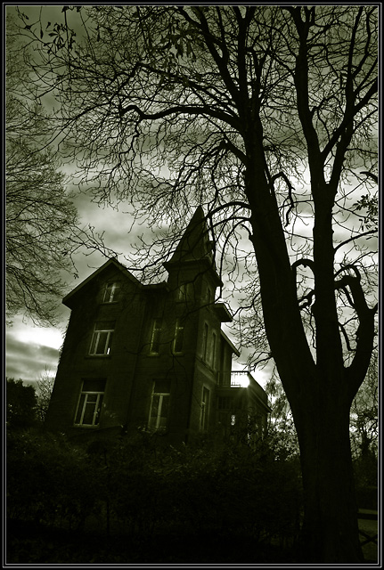 The Mansion