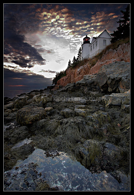 Bass Harbor Light