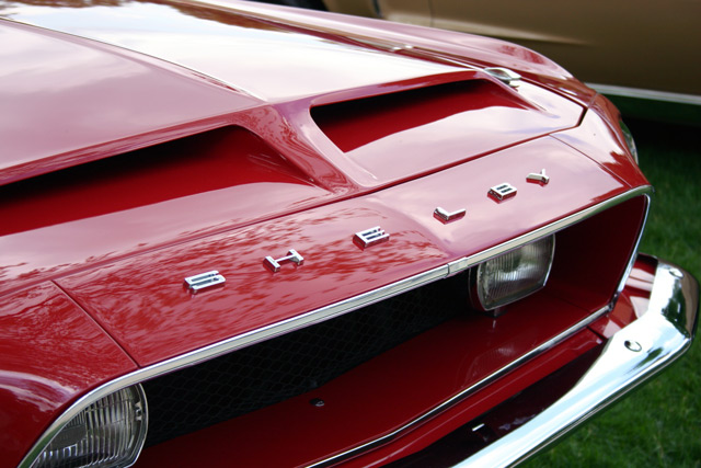 A Hint of Muscle