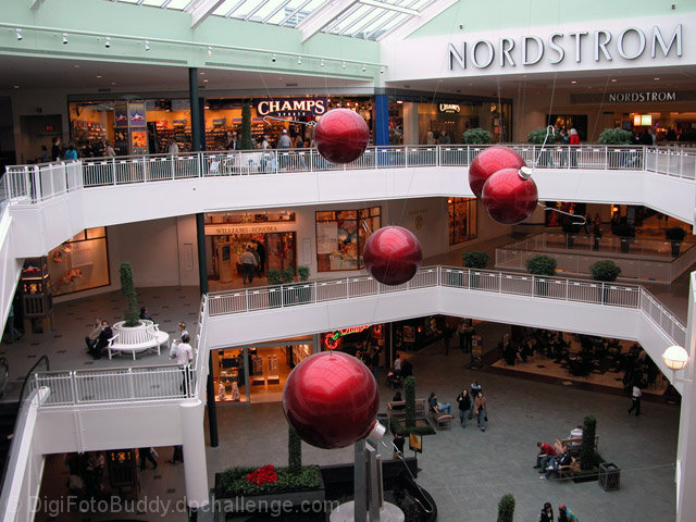 Shopping, Anyone?