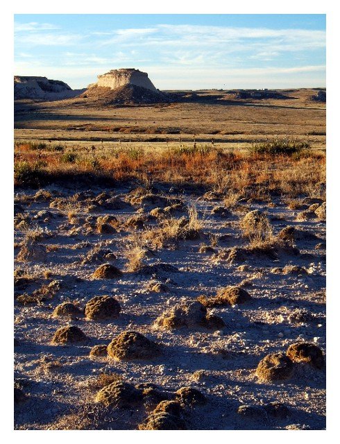 Pawnee Grasslands