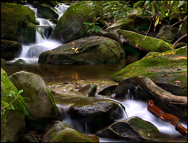 Mountain Stream