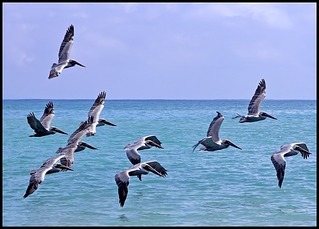 Cabo Blanco, Costa Rica