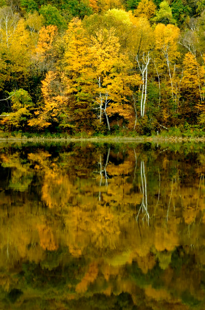 Fall on the Connecticutt River